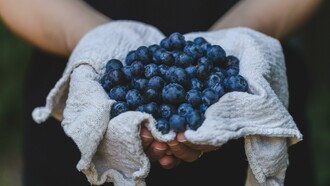A person holding a handful of blueberries 