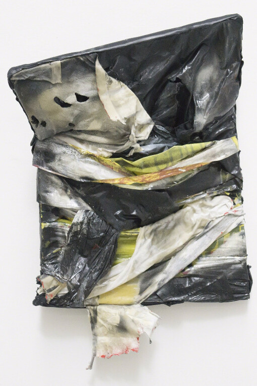 Homeostasis. Courtesy of Jenkins Johnson Projects