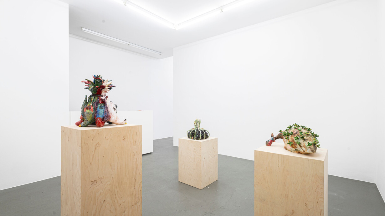 Dominika Bednarsky, Clay pigeons, exhibition view. Courtesy of Gaa Gallery