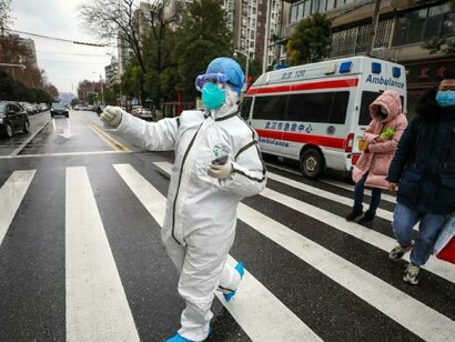 Il coronavirus in generale colpisce altre specie animali ma occasionalmente muta e diventa in grado di attaccare anche gli umani