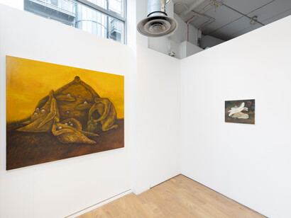 Rita Maikova and Tamsin Morse, A theatre for dreamers, exhibition view. Courtesy of Kristin Hjellegjerde Gallery