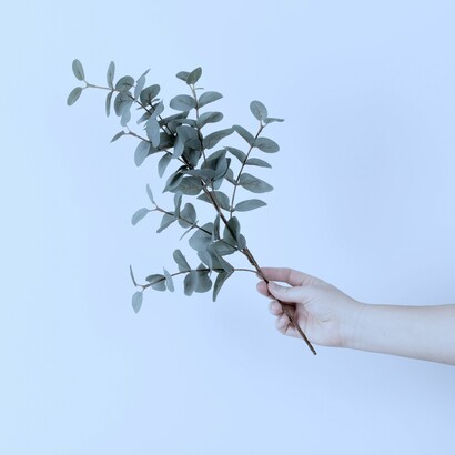 Aprender a sentirnos seguros y aceptar la paz