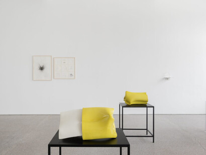 Joe Zorrilla. Courtesy of Galerie Greta Meert