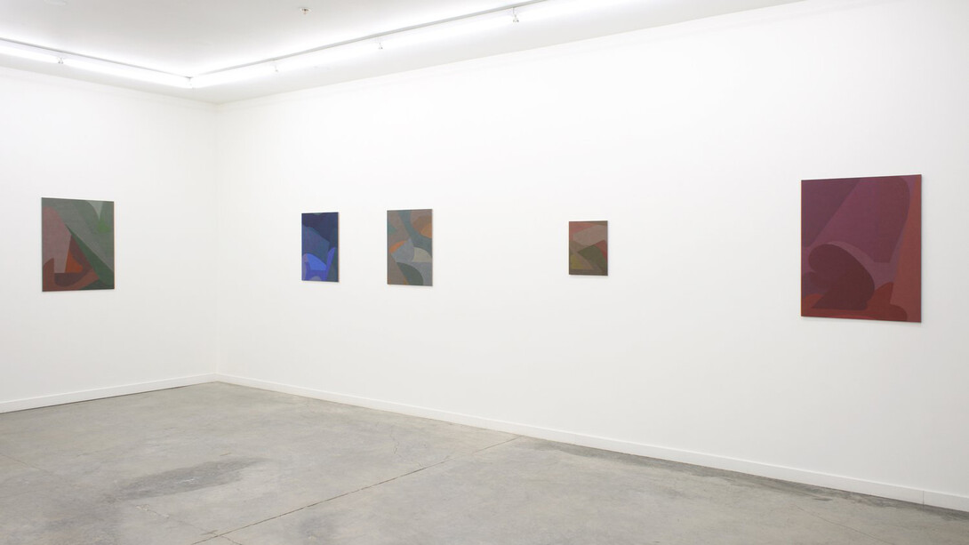 Nancy White, new paintings, exhibition view. Courtesy of Romer Young Gallery 