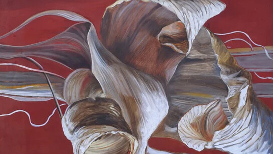 Diana Watson, Momento 8 (detail), 2026. Courtesy of Linton and Kay