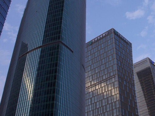 With its vibrant skyline, Shanghai in China embodies the spirit of a nation that balances ambition with a commitment to lifting all citizens toward common prosperity