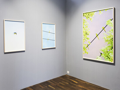 Yoshinori Mizutani. Courtesy of Christophe Guye Galerie