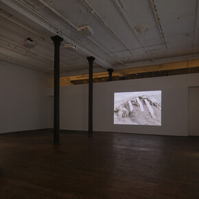 Nashashibi/Skaer, Pygmalion margaret ursus uan, exhibition view. Courtesy of Peter Freeman, Inc.