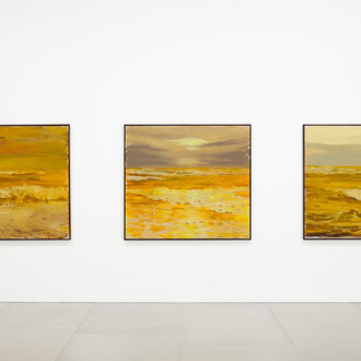 Enrique Martínez Celaya, The Mariner's Meadow, 2019, Installation view, Courtesy the artist and BlainSouthern, Photo Peter Mallet 