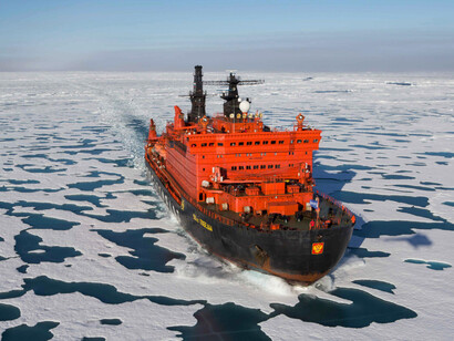 Ricerche specifiche analizzano continuamente le conseguenze degli aumenti record delle temperature dei mari