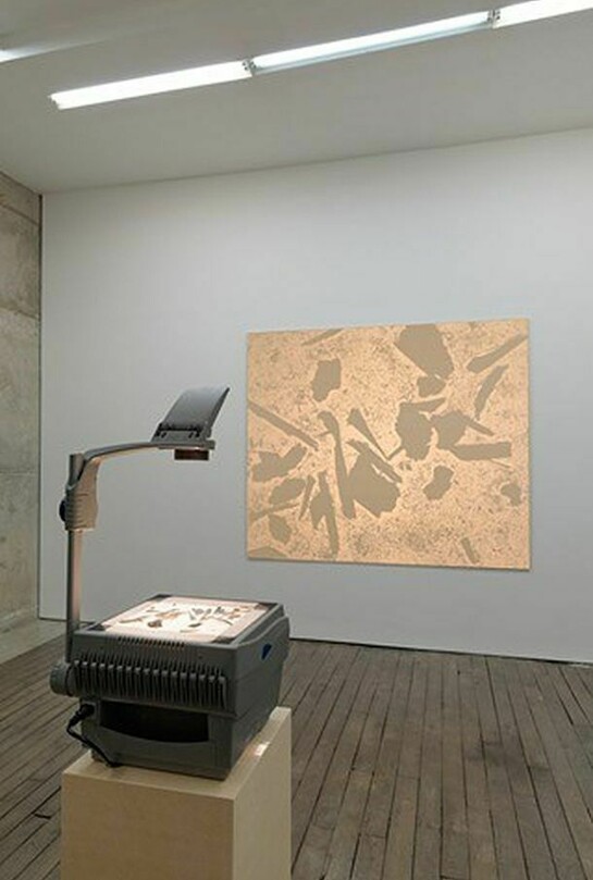 Daniel Lefcourt, Passive Surplus, 2011, Sawdust, MDF, projector, 172.72 x 203.2 cm / 68 x 80 inches, Courtesy of Campoli Presti, London / Paris