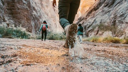 Mulheres trabalhando. Vamos analisar seriamente os dados e estatísticas que revelam a complexa relação entre género e ambiente