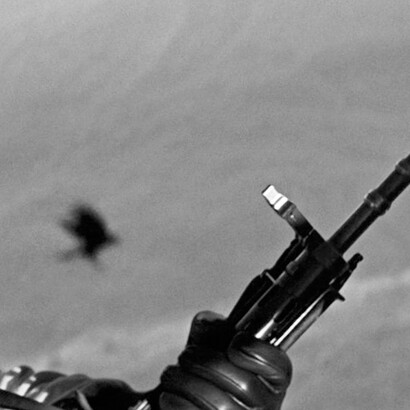 Taryn Simon, Switzerland (detail); 01:17:04 Swiss Alps, Switzerland. 1969, Birds of the West Indies, 2014 © Taryn Simon, 2014. Courtesy of the artist and Almine Rech Gallery