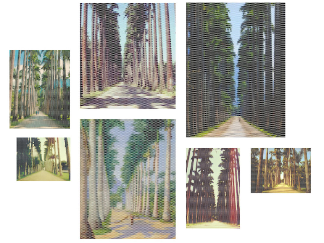 Felipe Cama. Avenida com Palmeiras (Jardim Botânico). 2010-2015. Print on methacrylate and print on cotton paper