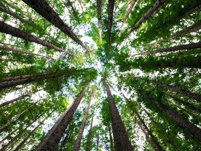 L’uomo in origine era in contatto costante e diretto con il mondo della natura