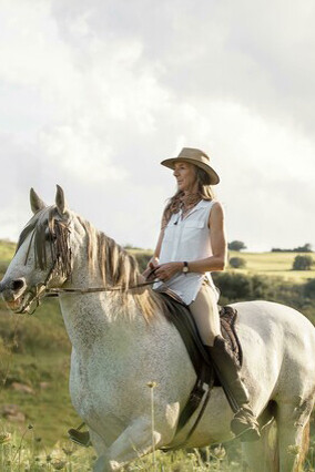 Hoy en día, los caballos de carreras viajan cómodamente en avión, en una especie de carruaje o góndola especial. Vista de lado, caballo andaluz