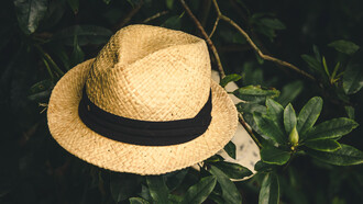 The garden of the world has no limits