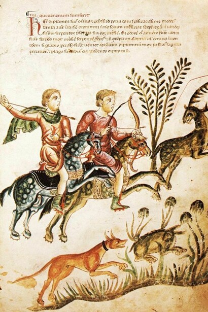 Il dittamo. Codex Medicina Antiqua (Cod. Vind.93) 