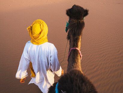 Desertificazione