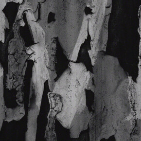 Aaron Siskind. Courtesy of Galerie Julian Sander 