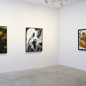 Kazuo Shiraga and Akira Kanayama, Plus-minus, exhibition view. Courtesy of Fergus McCaffrey Gallery