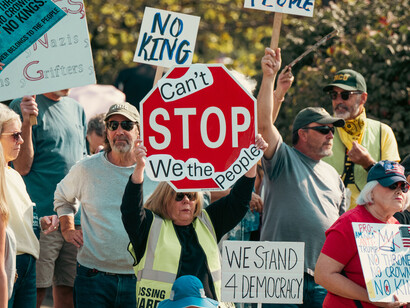 A diverse group of protesters holds signs and American flags during a peaceful demonstration advocating for democracy, freedom, and civic participation in the United States