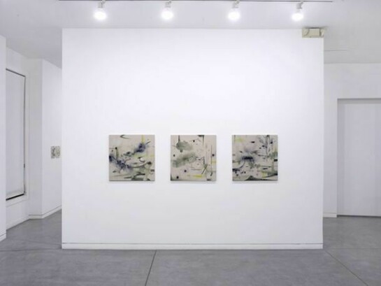 Shinpei Kusanagi, so far so close, Installation views