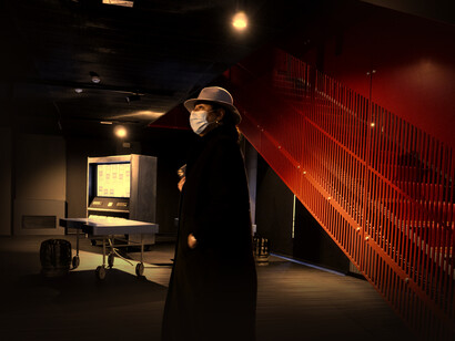 Palacio del Fulgor, Museo Fellini