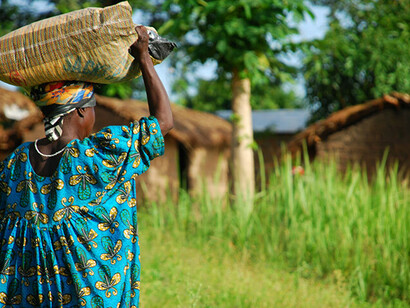 Gender gaps favoring males are larger in poor countries than in rich countries