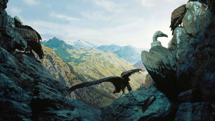 Habitats Diorama. Courtesy of Haus der Natur 