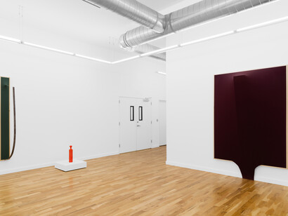 Kiah Celeste and Gordon Hall, Artifact unidentified, exhibition view. Courtesy of Document Gallery