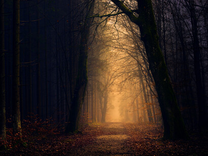 Esos símbolos y arquetipos contienen la sabiduría de esa población, el linaje de esa comunidad