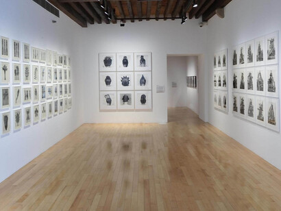 Structures of Identity. Courtesy of Museo Amparo