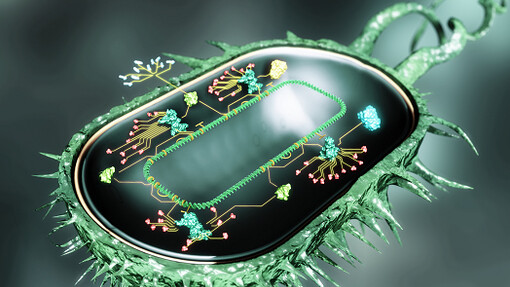 Synthetic bio cell