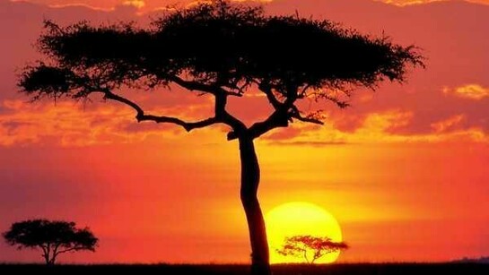 Sudán del Sur. Atardecer en África