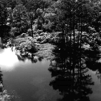 Loris Gréaud. Courtesy of Tel Aviv Museum of Art