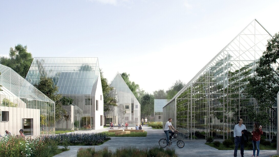 Calles de Regen Villages