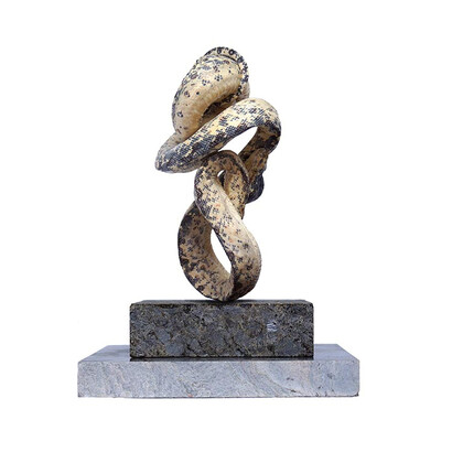 Polly Morgan, Sometimes on a Sunday