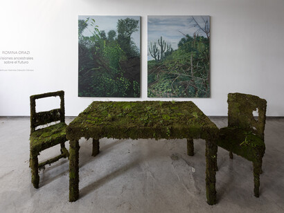 Romina Orazi, Visiones ancestrales sobre el futuro, vista de exhibición. Cortesía de Praxis