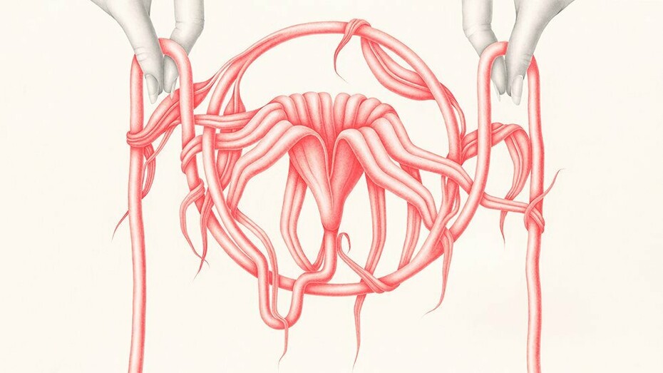 Devra Fox, Dangling Between (detail), 2023. Courtesy of the artist and Hashimoto Contemporary