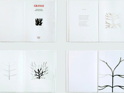 Artist Books by Edizioni Canopo. Courtesy of Jason McCoy Gallery