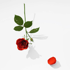 Suda Yoshihiro, exhibition view. Courtesy of Mignoni Gallery