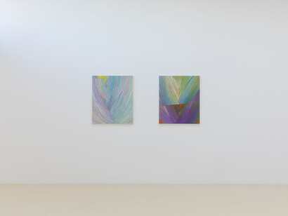 Tyler Vlahovich, The real story, exhibition view. Courtesy of Chris Sharp Gallery