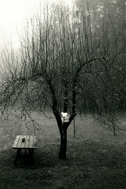 Patricia Heal, Winter Picnic, 2014, gelatin silver print
