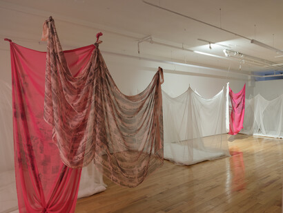 Hồng-Ân Trương, If you can hear the sound of my voice, clap once, exhibition view. Courtesy of island Gallery