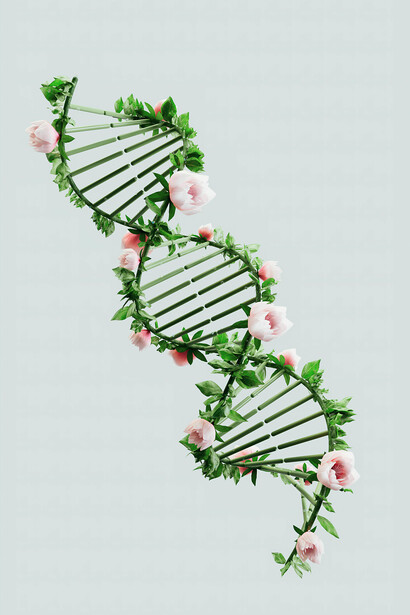 Así como una flor brota de la semilla, también el conocimiento profundo puede germinar en dispositivos capaces de ensamblar lo invisible