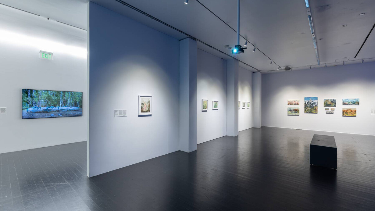 Various artists, Colorado currents, exhibition view. Courtesy of MCA Denver