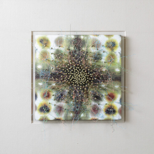 Agnes Son. Courtesy of Kate Oh Gallery 