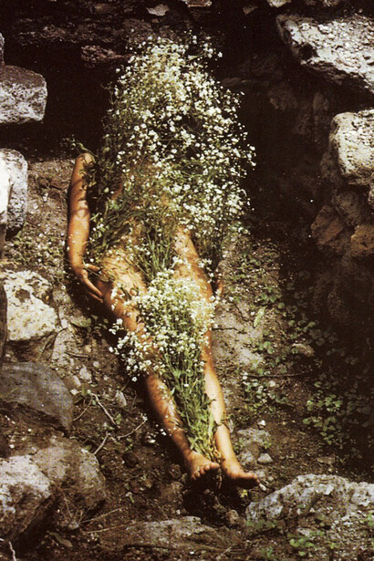 Ana Mendieta, Siluetas