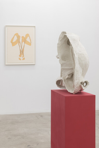 All images courtesy of NoguerasBlanchard, Barcelona/Madrid
Photography Roberto Ruiz
